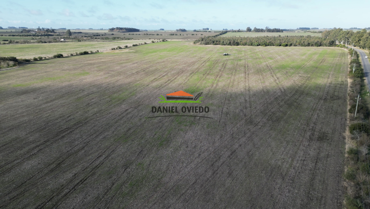 Campo Ref.235/Campo-agrícola-de-23.8-has-próximo-a-balneario-Artilleros. - Campo agrícola de 23.8 has próximo a balneario Artilleros.