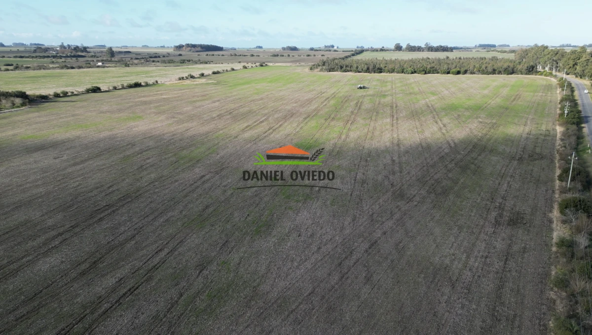 Campo Ref.235/Campo-agr - Campo agrícola de 23.8 has próximo a balneario Artilleros.