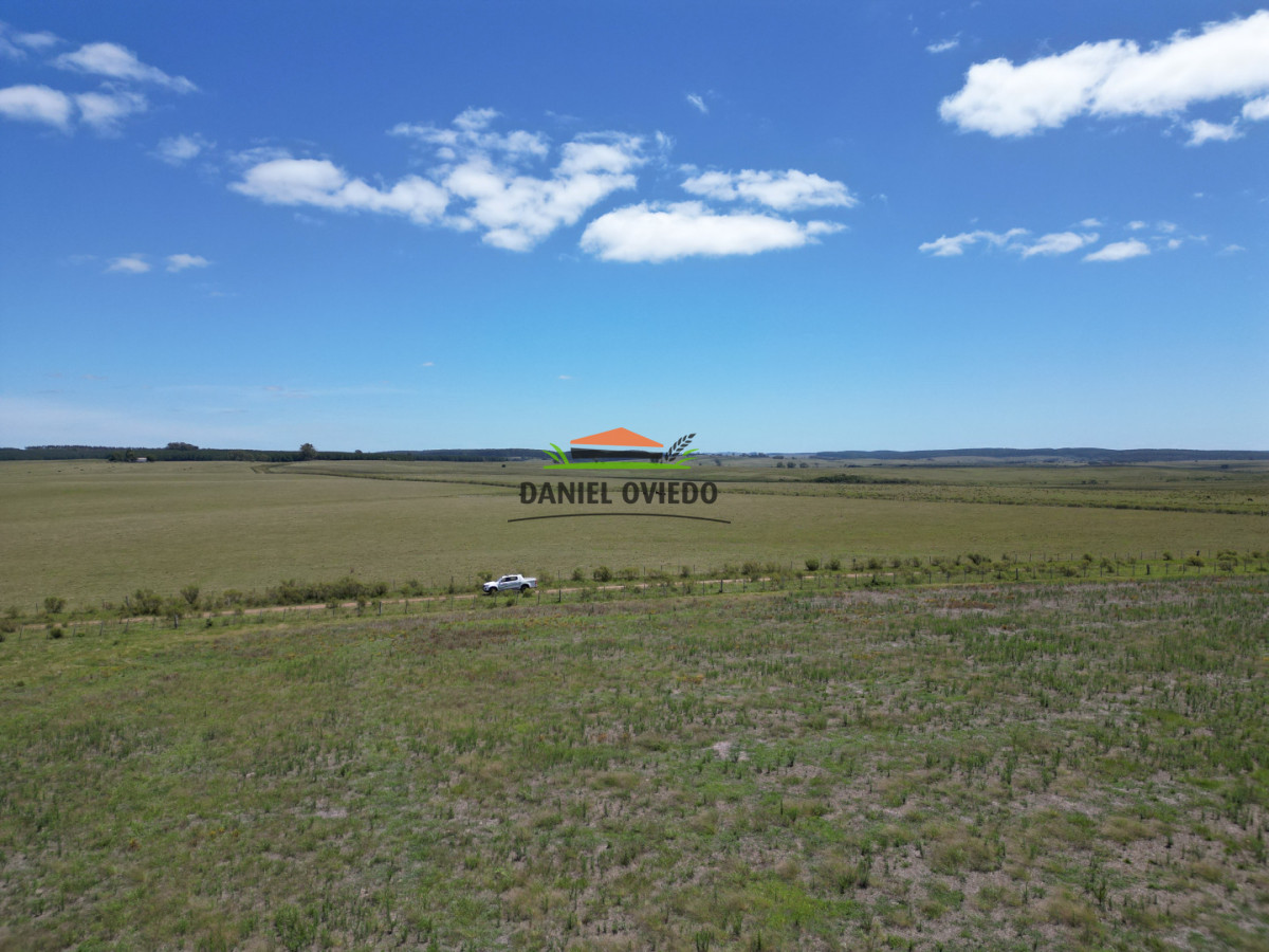 Campo Ref.359/Estancia-de-945-has-en-venta-en-Cerro-Largo. - Estancia de 945 has en venta en Cerro Largo.