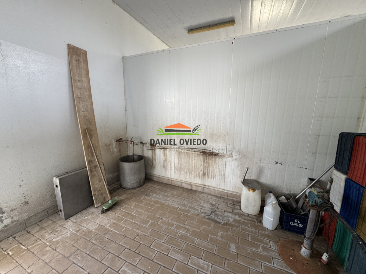 Campo Ref.377/Establecimiento-con-f - Establecimiento con fábrica y 33 Hás de campo - Instalaciones y equipamiento incluidos | Colonia