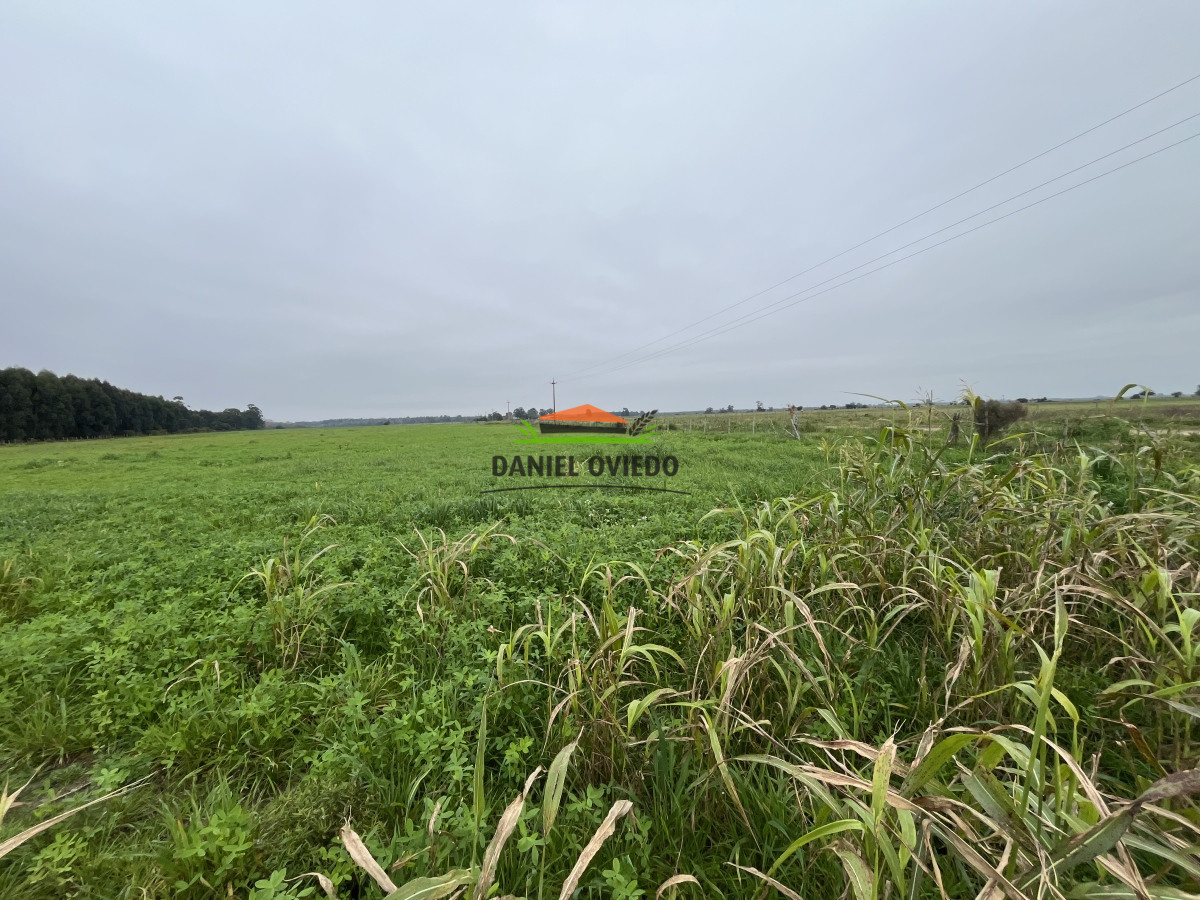 Campo Ref.10 - 20 hás en venta próximo a Colonia Delta, San José.