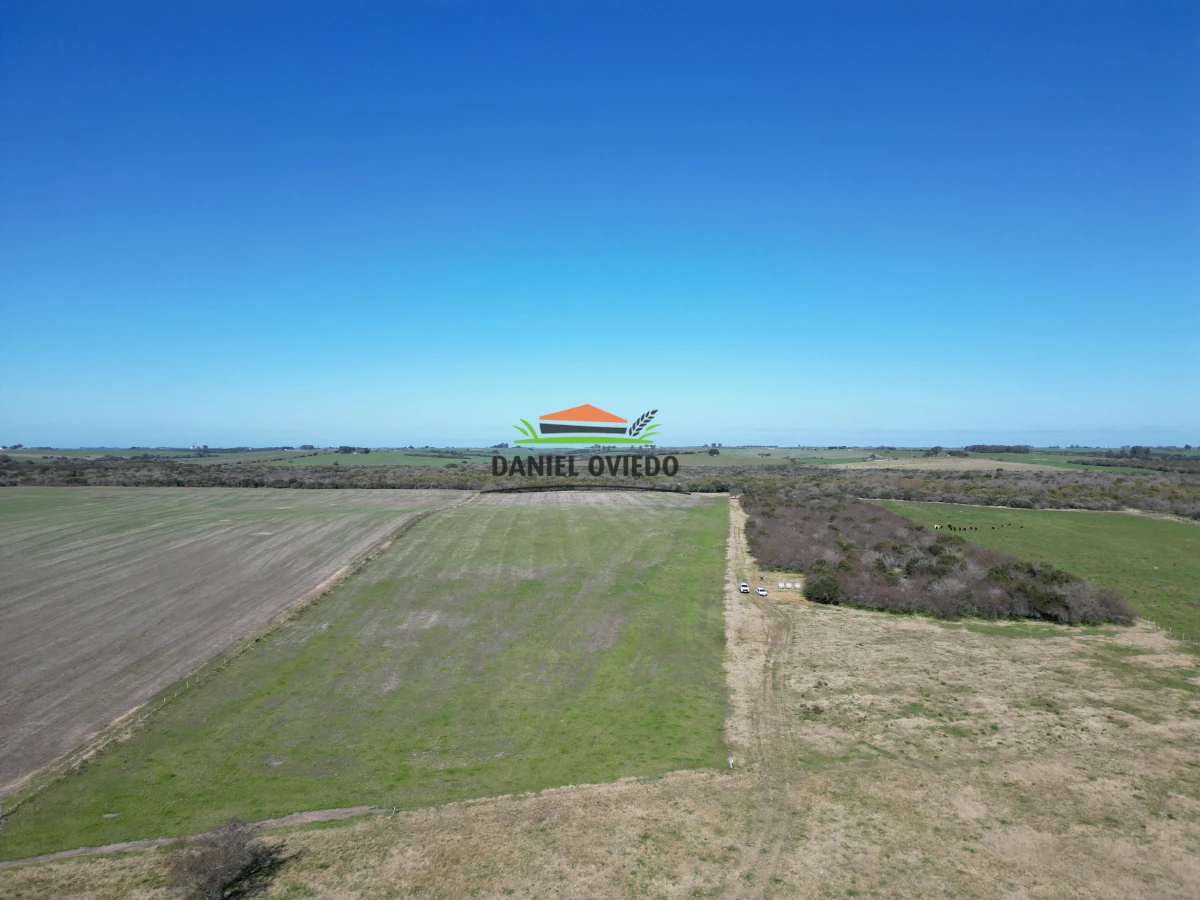 Campo Ref.243/Campo-agrícola-ganadero-en-venta-con-costa-de-arroyo. - Campo agrícola ganadero en venta con costa de arroyo.