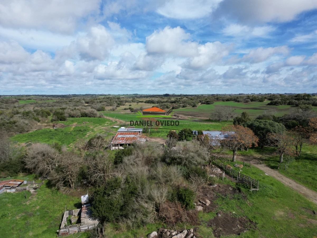 Campo Ref.249/Buen-campo-ganadero-en-venta-ideal-para-engorde. - Buen campo ganadero en venta ideal para engorde.