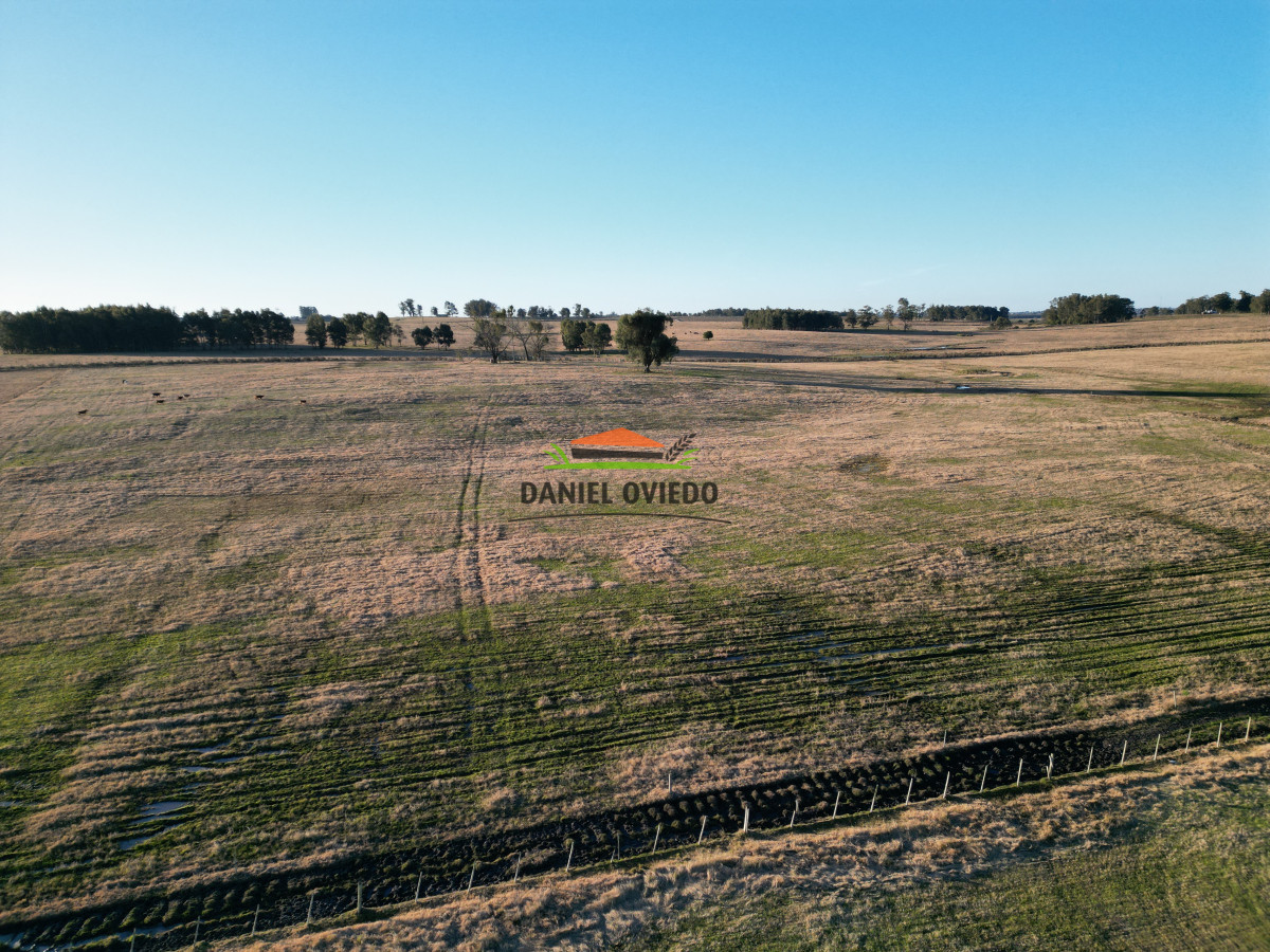 Campo Ref.223/Establecimiento-de-760-hás-en-venta-en-Cerro-Largo. - Establecimiento de 760 hás en venta en Cerro Largo.