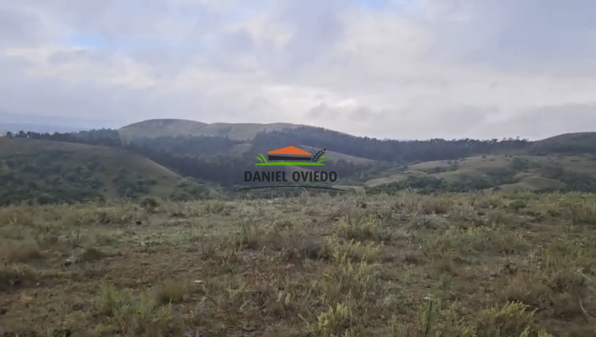 Campo Ref.350/Oportunidad-buen-campo-ganadero-en-venta-con-excelentes-vistas. - Oportunidad buen campo ganadero en venta con excelentes vistas.