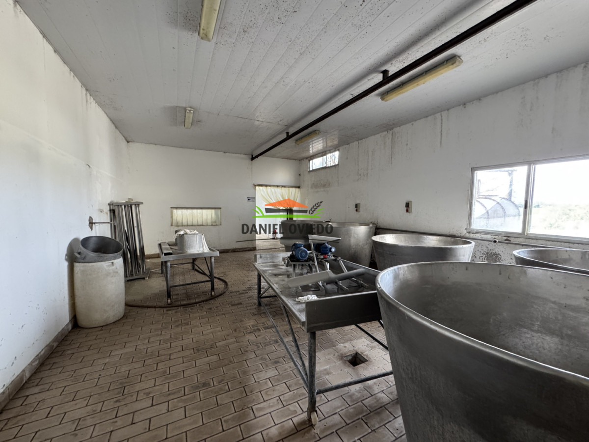 Campo Ref.377/Establecimiento-con-f - Establecimiento con fábrica y 33 Hás de campo - Instalaciones y equipamiento incluidos | Colonia