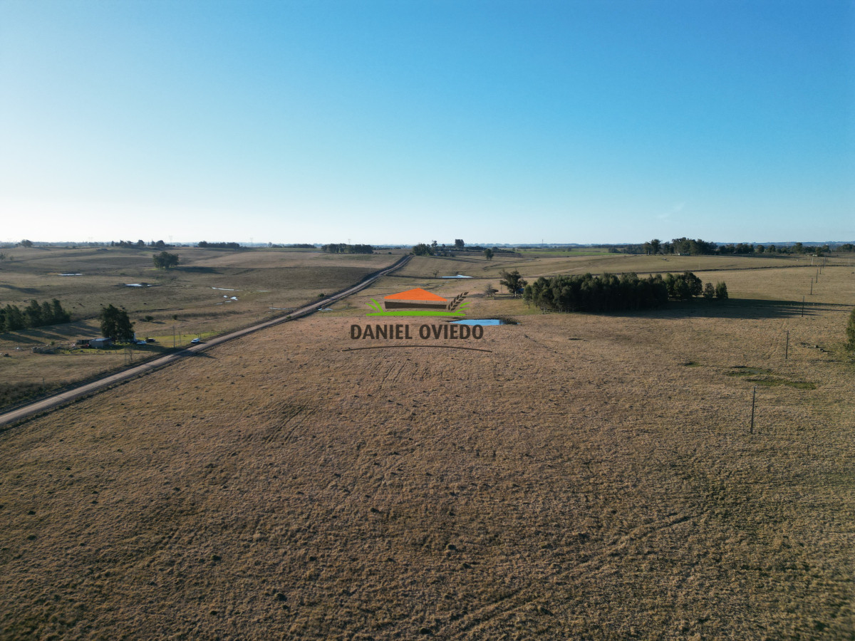 Campo Ref.223/Establecimiento-de-760-hás-en-venta-en-Cerro-Largo. - Establecimiento de 760 hás en venta en Cerro Largo.