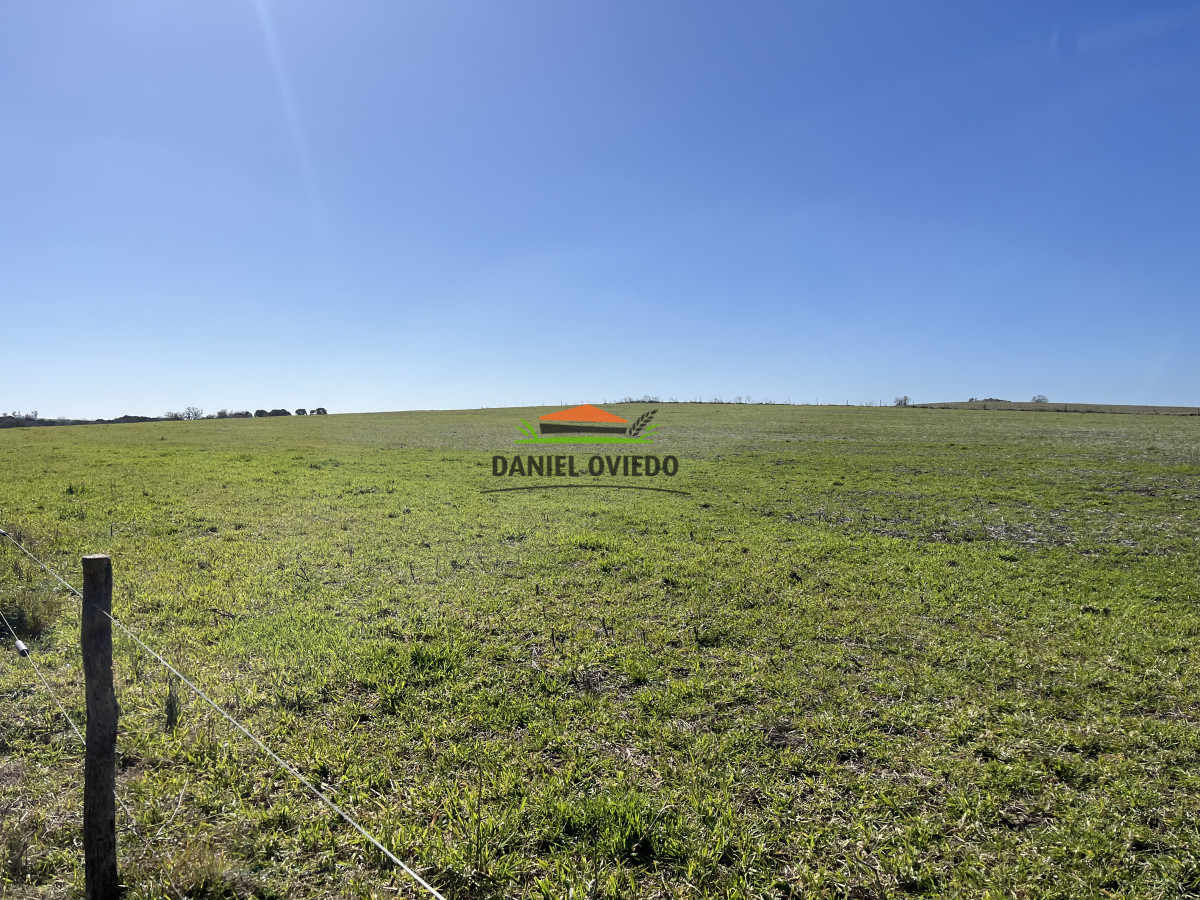 Campo Ref.243/Campo-agrícola-ganadero-en-venta-con-costa-de-arroyo. - Campo agrícola ganadero en venta con costa de arroyo.