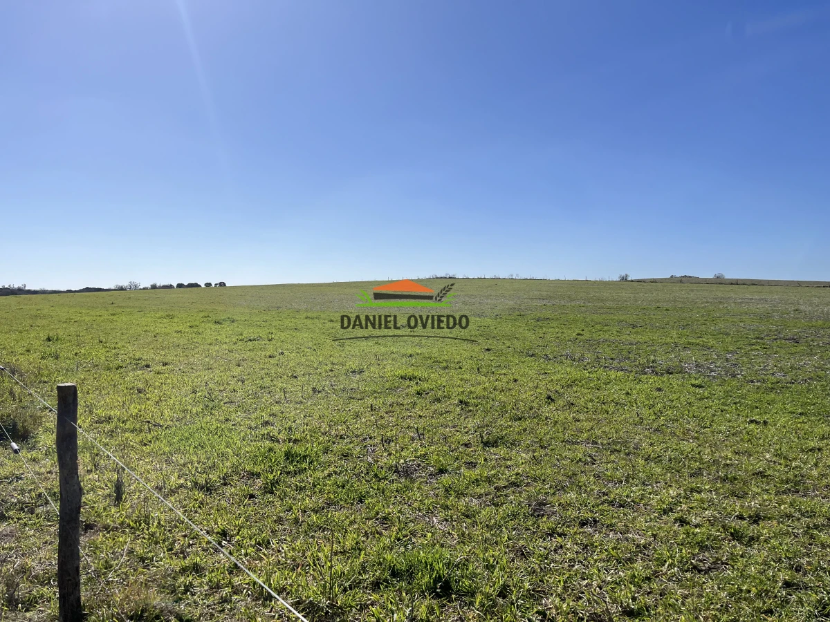 Campo Ref.243/Campo-agrícola-ganadero-en-venta-con-costa-de-arroyo. - Campo agrícola ganadero en venta con costa de arroyo.