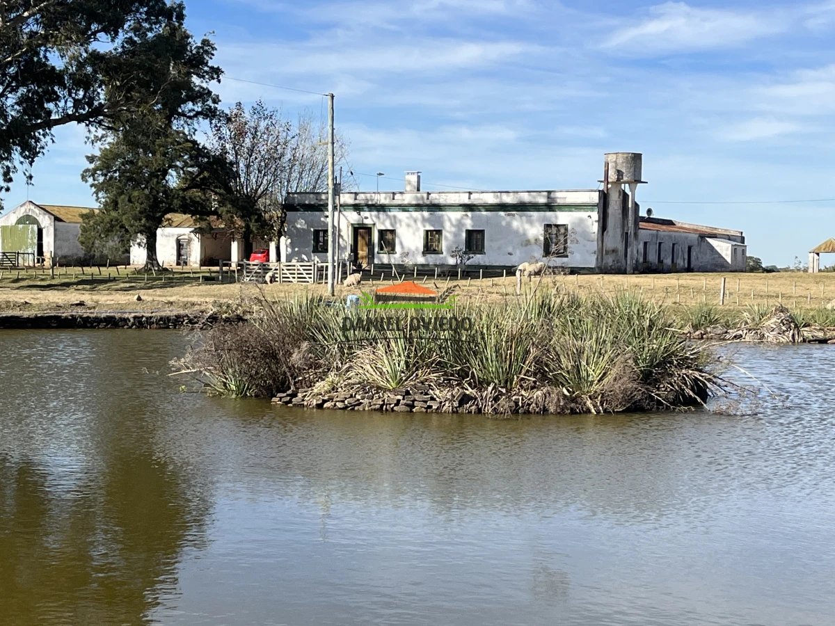 Campo Ref.210/Estancia-ganadera-completa-en-venta-de-2.956-has-en-Cerro-Largo. - Estancia ganadera completa en venta de 2.956 has en Cerro Largo.