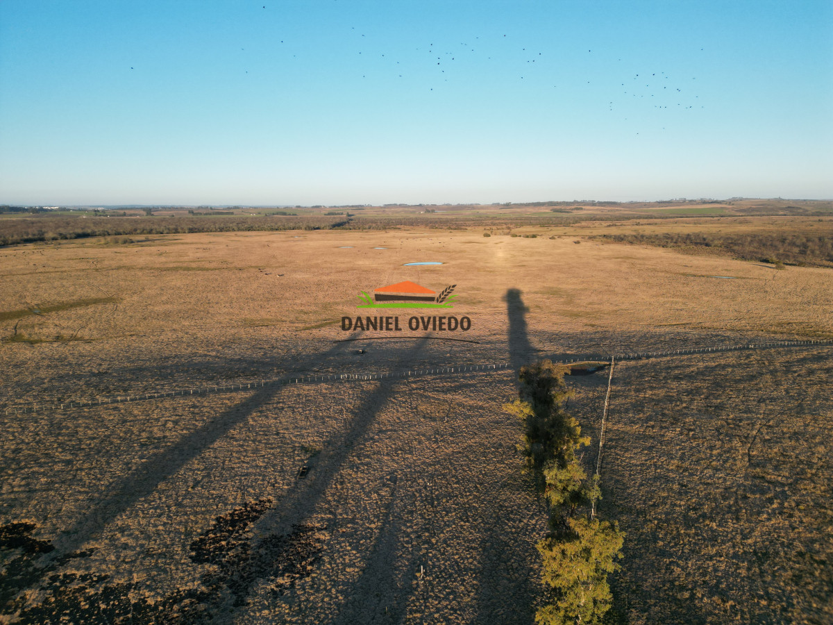 Campo Ref.223/Establecimiento-de-760-hás-en-venta-en-Cerro-Largo. - Establecimiento de 760 hás en venta en Cerro Largo.