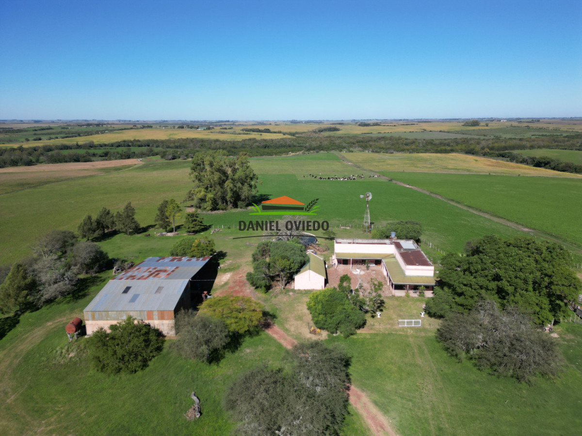 Campo Ref.381/Campo-agr - Campo agrícola en venta en zona de Víboras, Colonia.