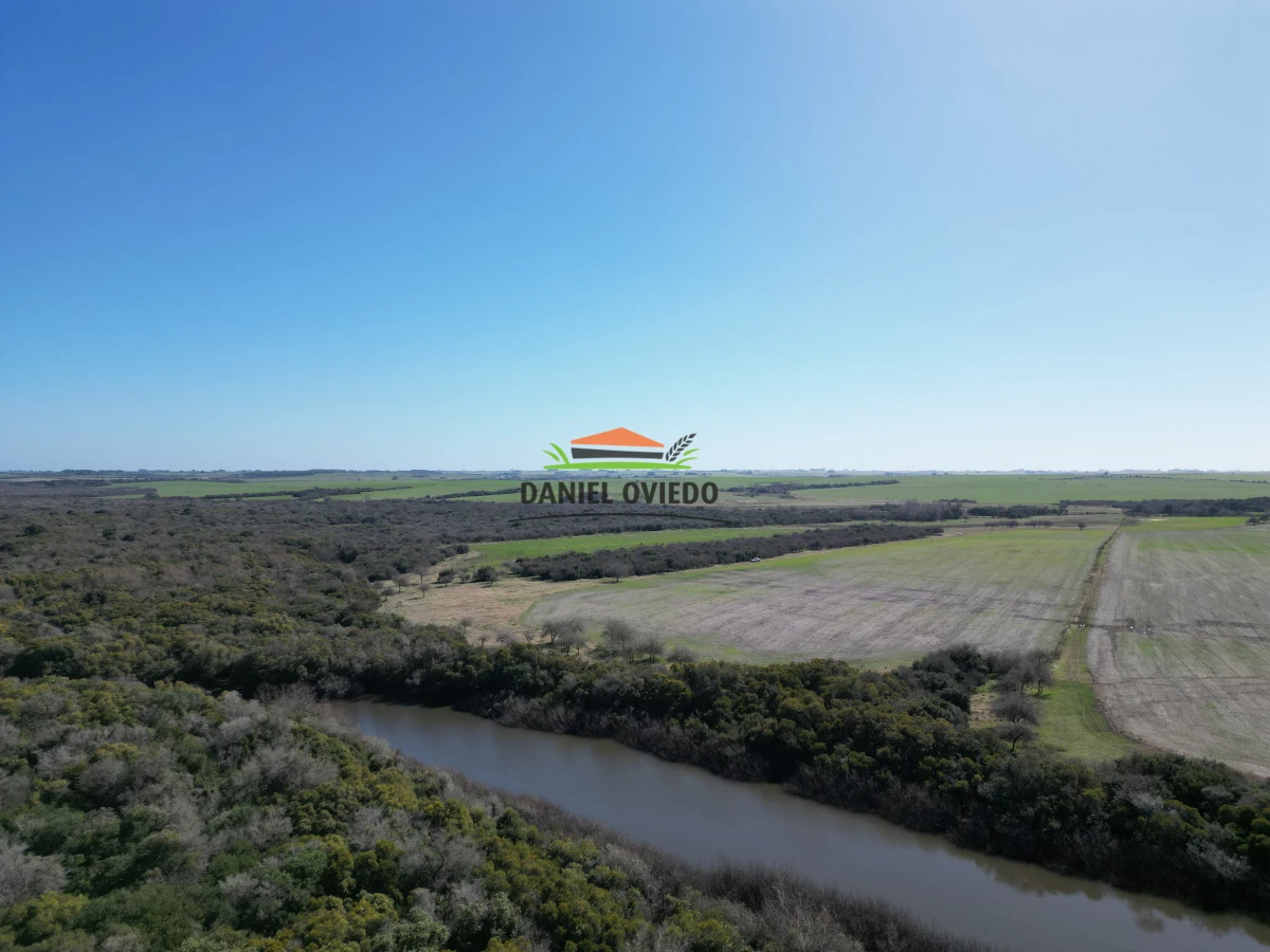 Campo Ref.243/Campo-agrícola-ganadero-en-venta-con-costa-de-arroyo. - Campo agrícola ganadero en venta con costa de arroyo.