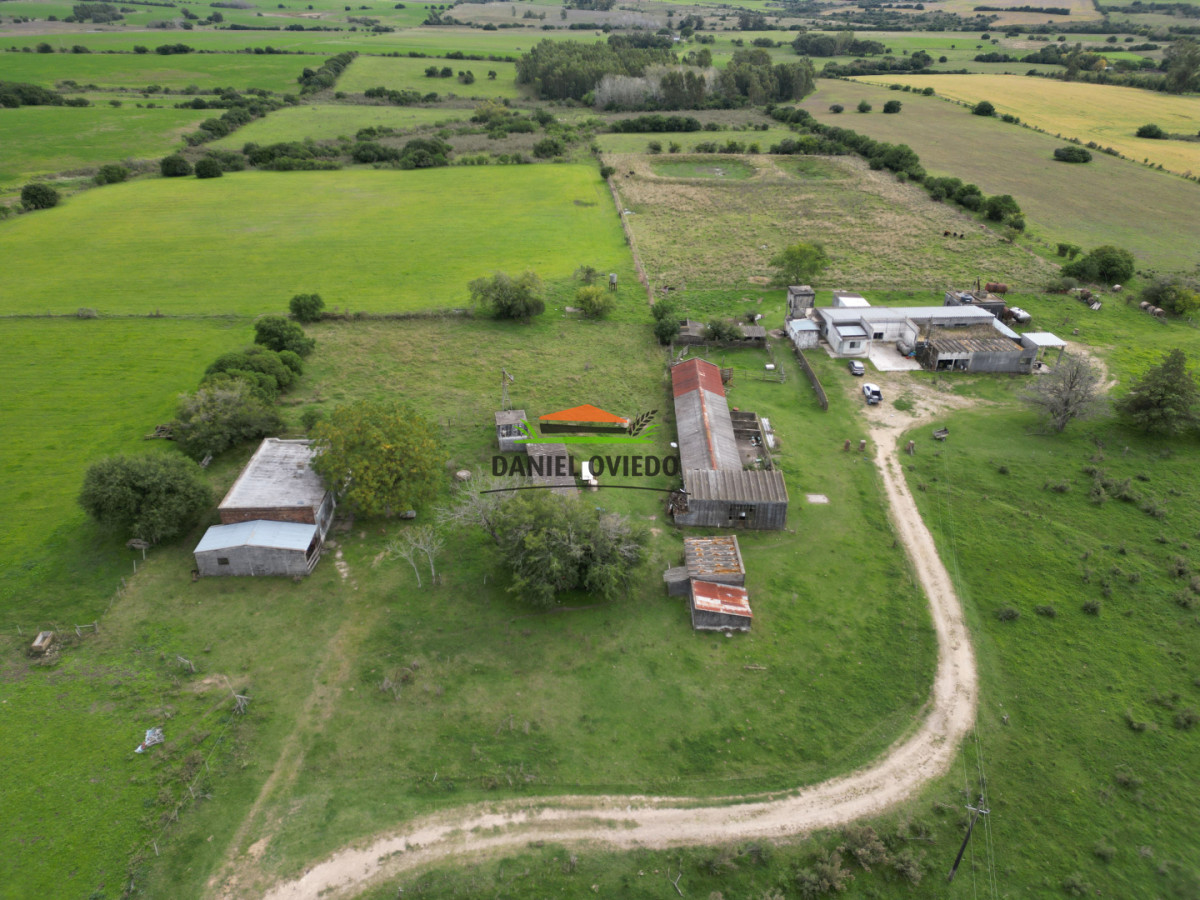 Campo Ref.377/Establecimiento-con-f - Establecimiento con fábrica y 33 Hás de campo - Instalaciones y equipamiento incluidos | Colonia