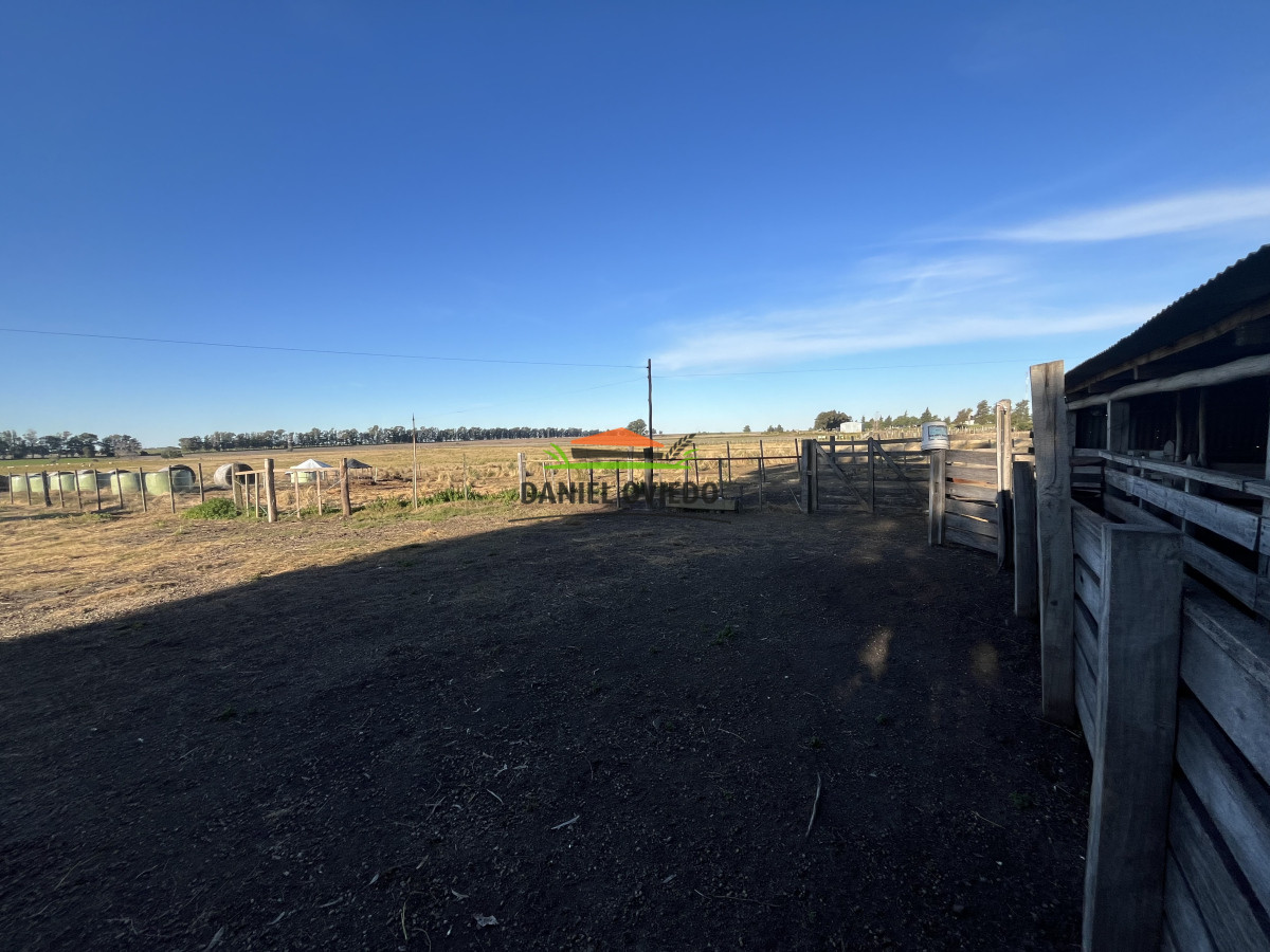 Campo Ref.209 - Excepcional ubicación en ruta 1 y campo productivo donde nadie vende.