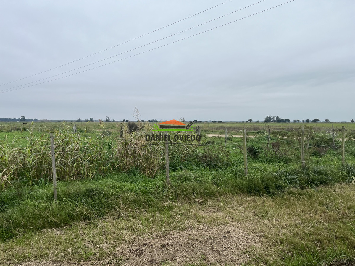 Campo Ref.10 - 20 hás en venta próximo a Colonia Delta, San José.