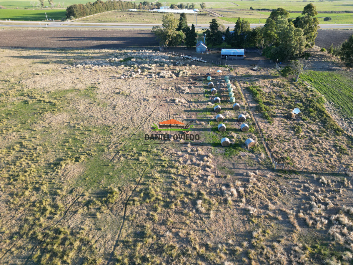 Campo Ref.209 - Excepcional ubicación en ruta 1 y campo productivo donde nadie vende.