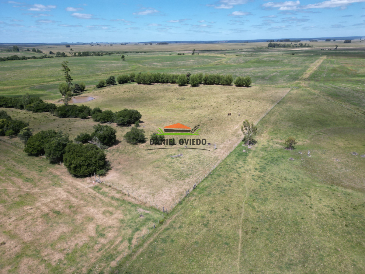 Campo Ref.359/Estancia-de-945-has-en-venta-en-Cerro-Largo. - Estancia de 945 has en venta en Cerro Largo.