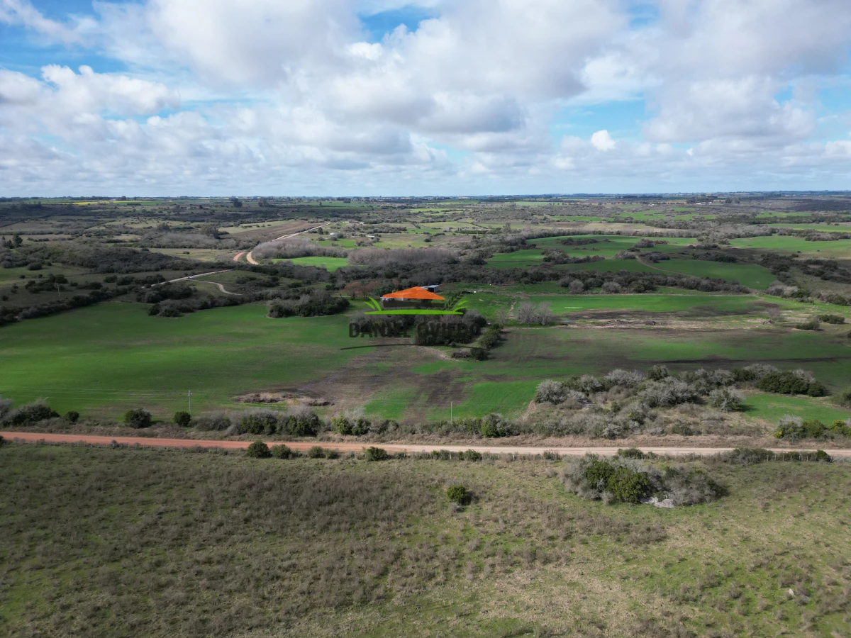 Campo Ref.249/Buen-campo-ganadero-en-venta-ideal-para-engorde. - Buen campo ganadero en venta ideal para engorde.