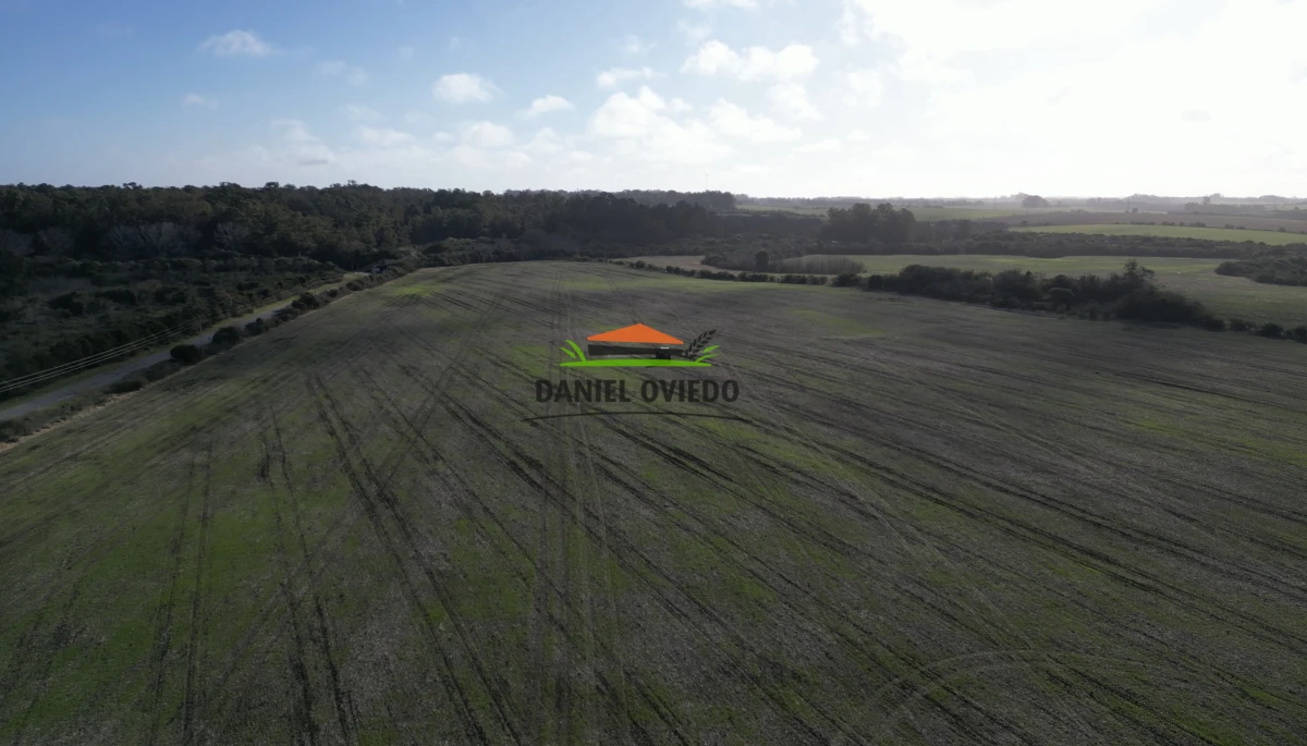 Campo Ref.235/Campo-agr - Campo agrícola de 23.8 has próximo a balneario Artilleros.