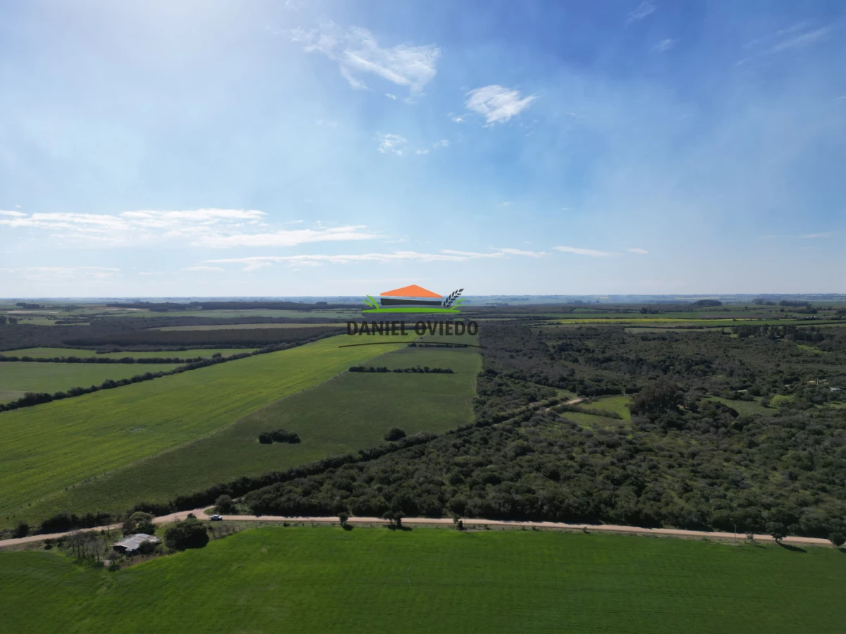 Campo Ref.414/ - ¡Nueva oportunidad rural proxima a Conchillas!