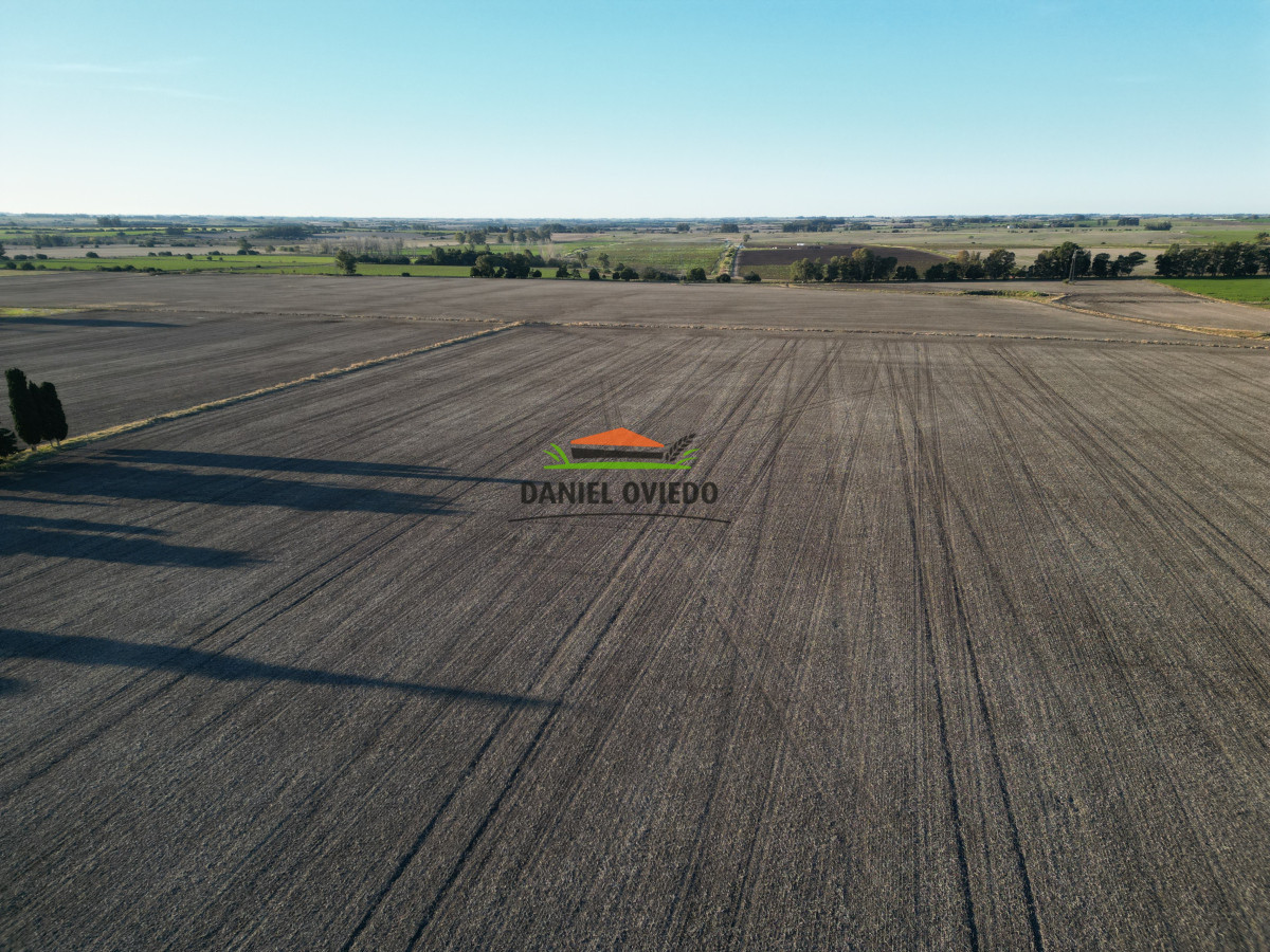 Campo Ref.209 - Excepcional ubicación en ruta 1 y campo productivo donde nadie vende.