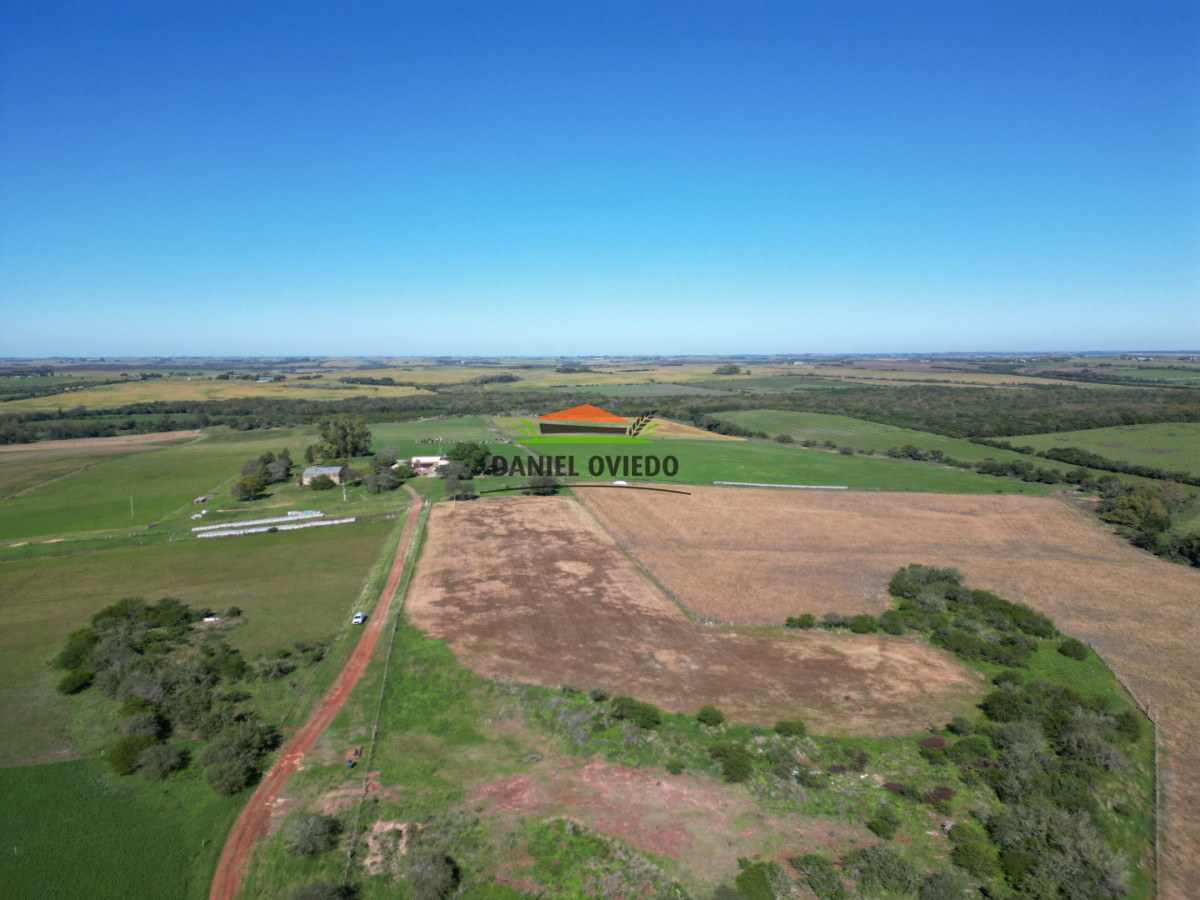 Campo Ref.381/Campo-agr - Campo agrícola en venta en zona de Víboras, Colonia.