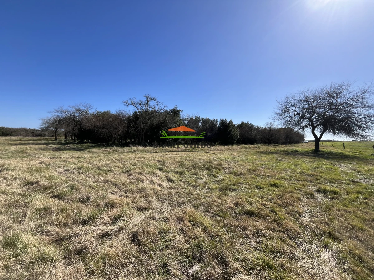 Campo Ref.243/Campo-agrícola-ganadero-en-venta-con-costa-de-arroyo. - Campo agrícola ganadero en venta con costa de arroyo.