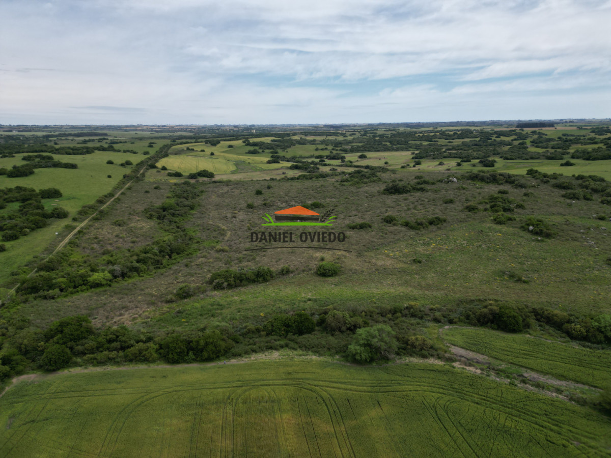 Campo Ref.302/Campo-de-18-hect - Campo de 18 hectáreas descansado con aguadas naturales y suelo fértil 5.02b