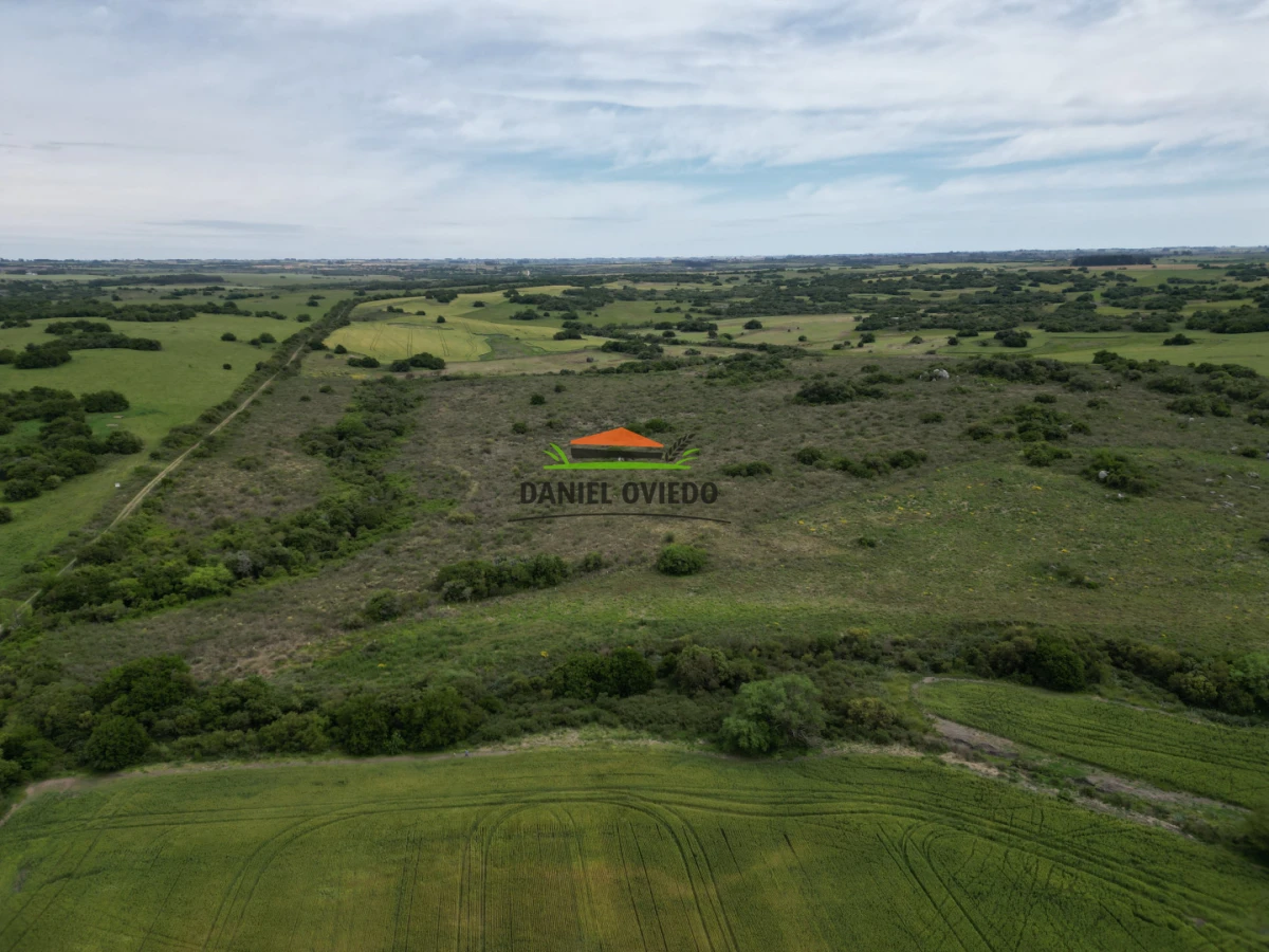 Campo Ref.302/Campo-de-18-hect - Campo de 18 hectáreas descansado con aguadas naturales y suelo fértil 5.02b