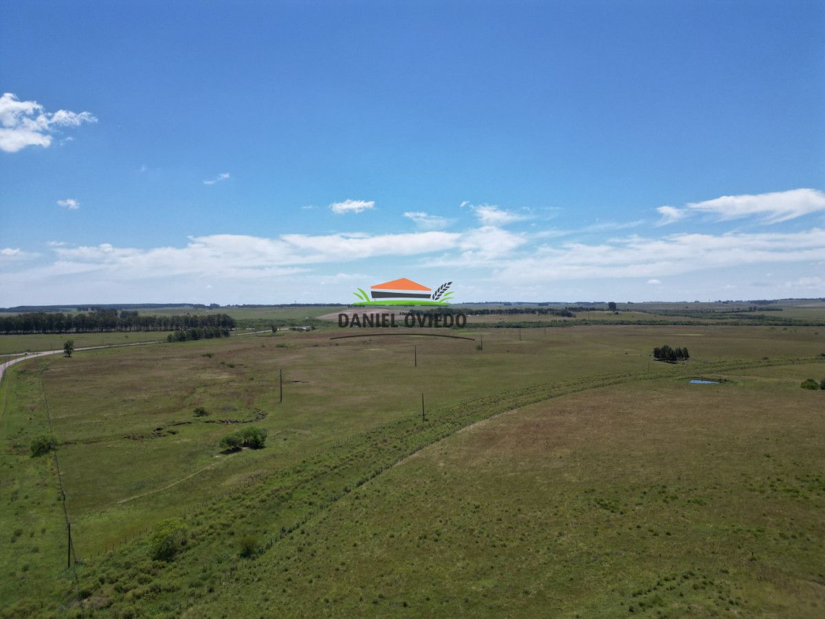 Campo Ref.357/Muy-buen-establecimiento-completo-en-venta-en-ruta-26-proximo-a-Melo. - Muy buen establecimiento completo en venta en ruta 26 proximo a Melo.