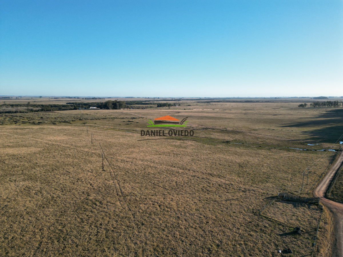 Campo Ref.223/Establecimiento-de-760-hás-en-venta-en-Cerro-Largo. - Establecimiento de 760 hás en venta en Cerro Largo.