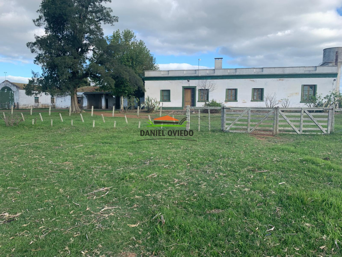 Campo Ref.210 - Estancia ganadera completa en venta de 3.000 has en Cerro Largo.