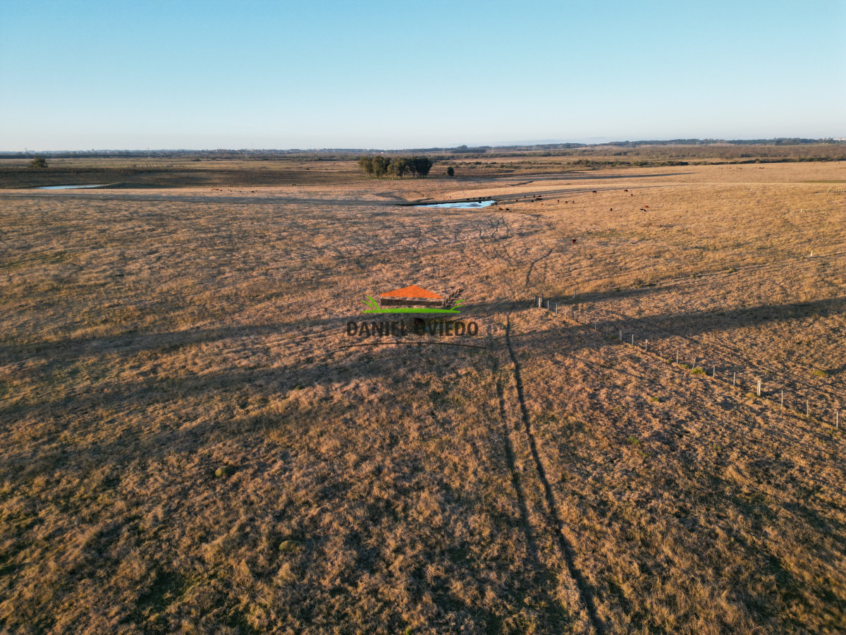 Campo Ref.223/Establecimiento-de-760-hás-en-venta-en-Cerro-Largo. - Establecimiento de 760 hás en venta en Cerro Largo.