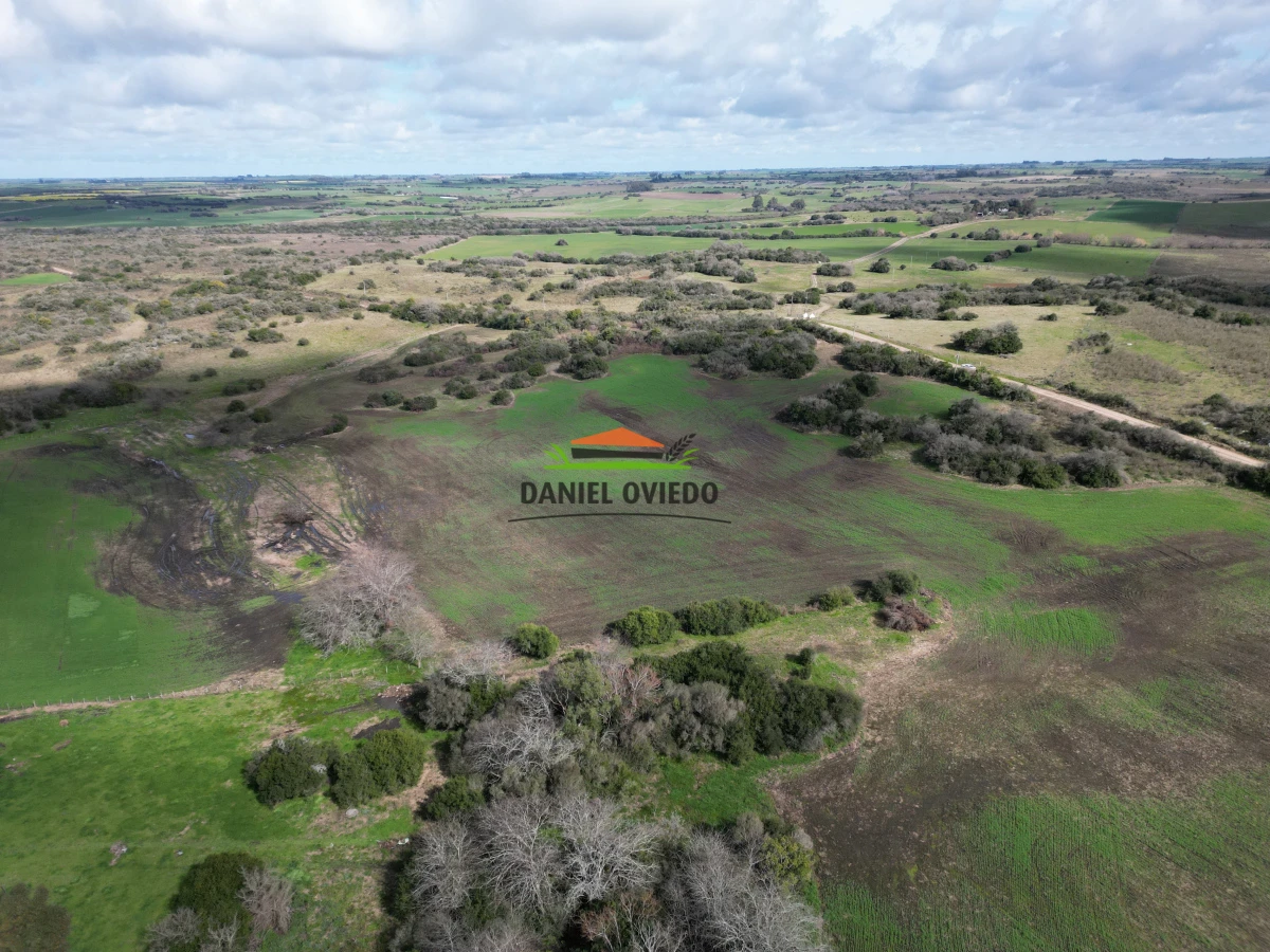 Campo Ref.249/Buen-campo-ganadero-en-venta-ideal-para-engorde. - Buen campo ganadero en venta ideal para engorde.