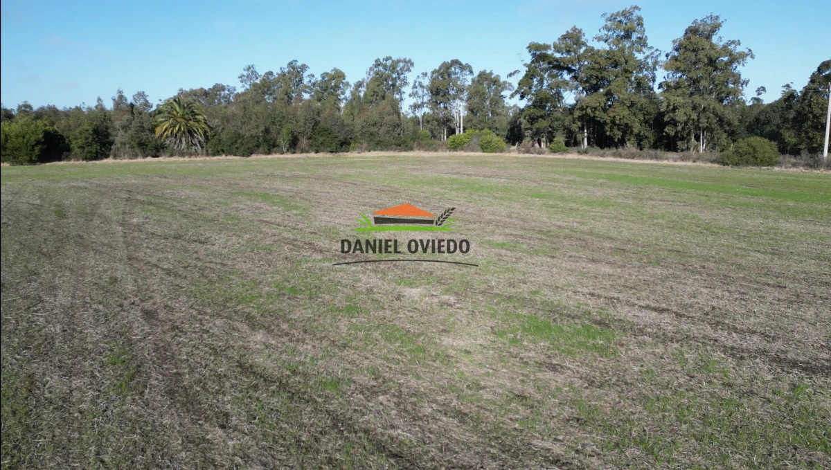 Campo Ref.235/Campo-agr - Campo agrícola de 23.8 has próximo a balneario Artilleros.