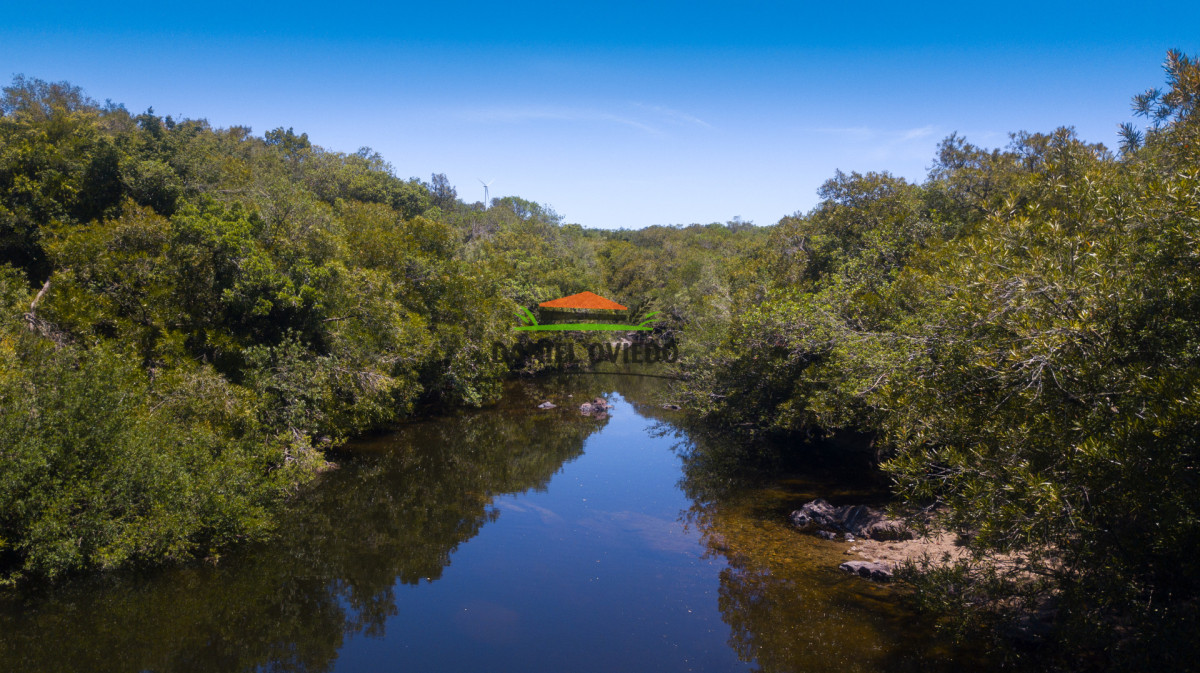 Campo Ref.327/Campo-con-Olivos-de-320-has-en-venta-en-Maldonado. - Campo con Olivos de 320 has en venta en Maldonado.