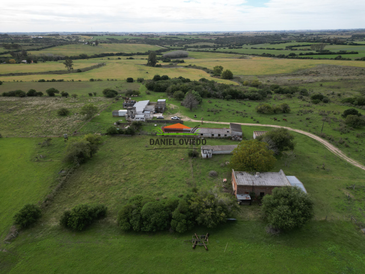 Campo Ref.377/Establecimiento-con-f - Establecimiento con fábrica y 33 Hás de campo - Instalaciones y equipamiento incluidos | Colonia
