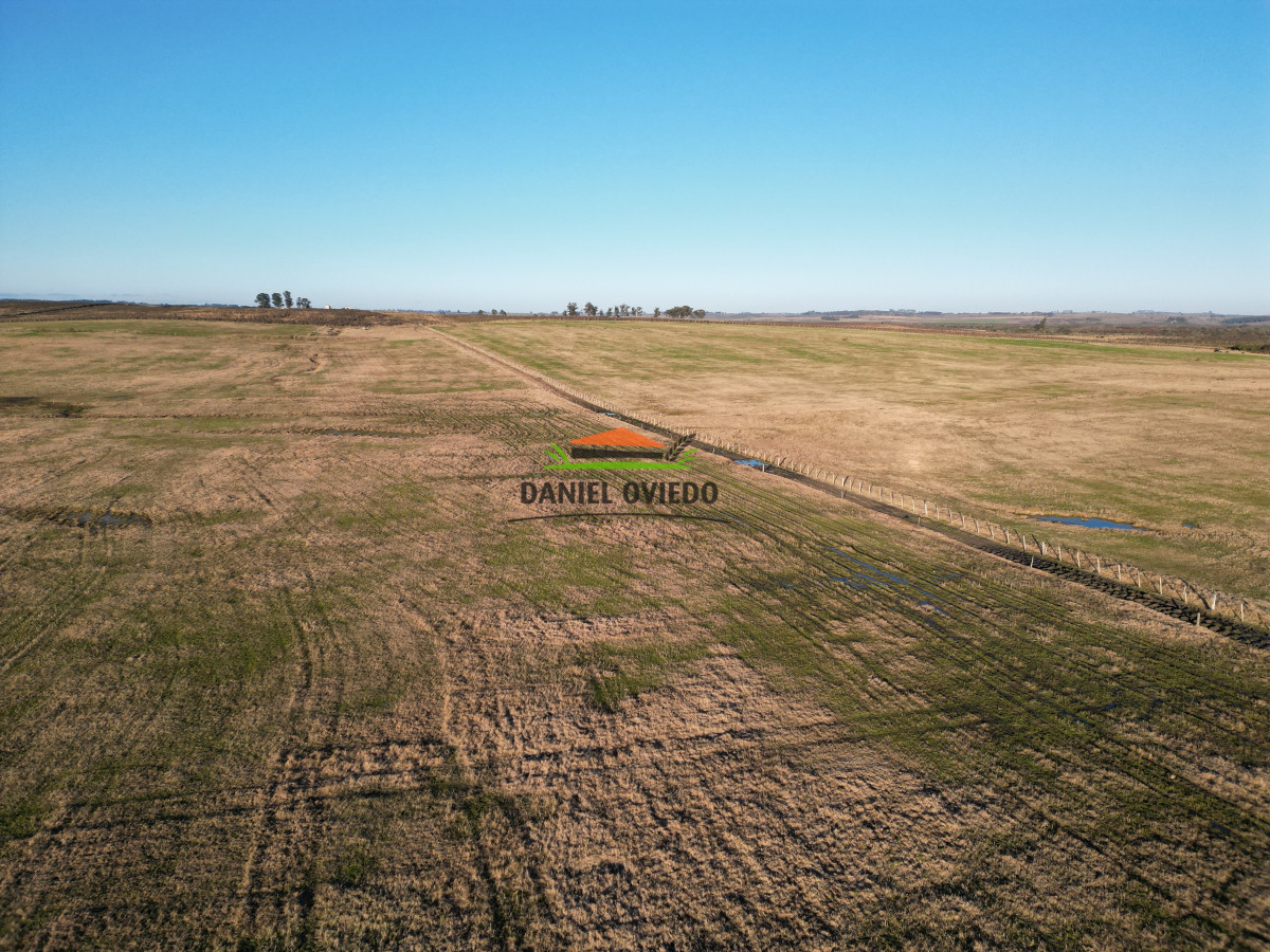 Campo Ref.223/Establecimiento-de-760-hás-en-venta-en-Cerro-Largo. - Establecimiento de 760 hás en venta en Cerro Largo.