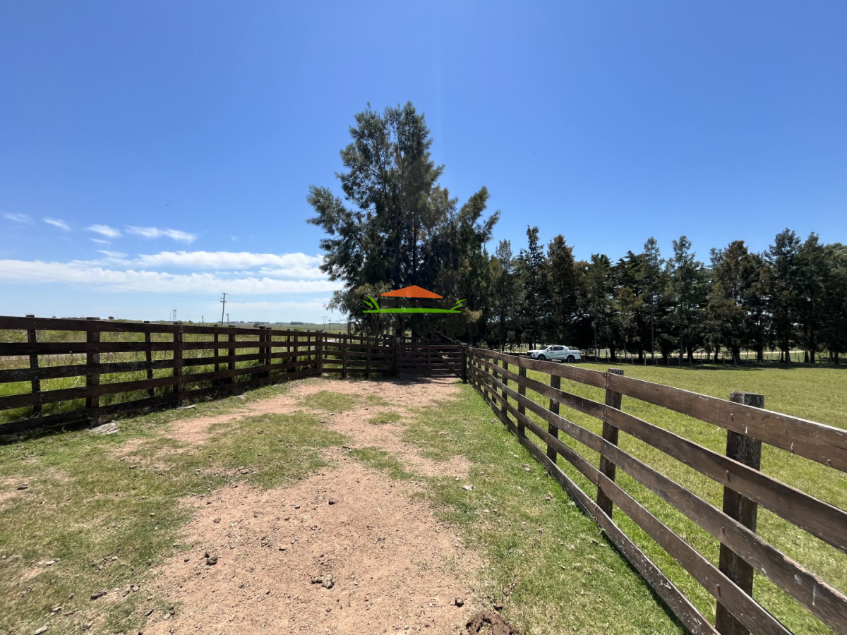 Campo Ref.357/Muy-buen-establecimiento-completo-en-venta-en-ruta-26-proximo-a-Melo. - Muy buen establecimiento completo en venta en ruta 26 proximo a Melo.