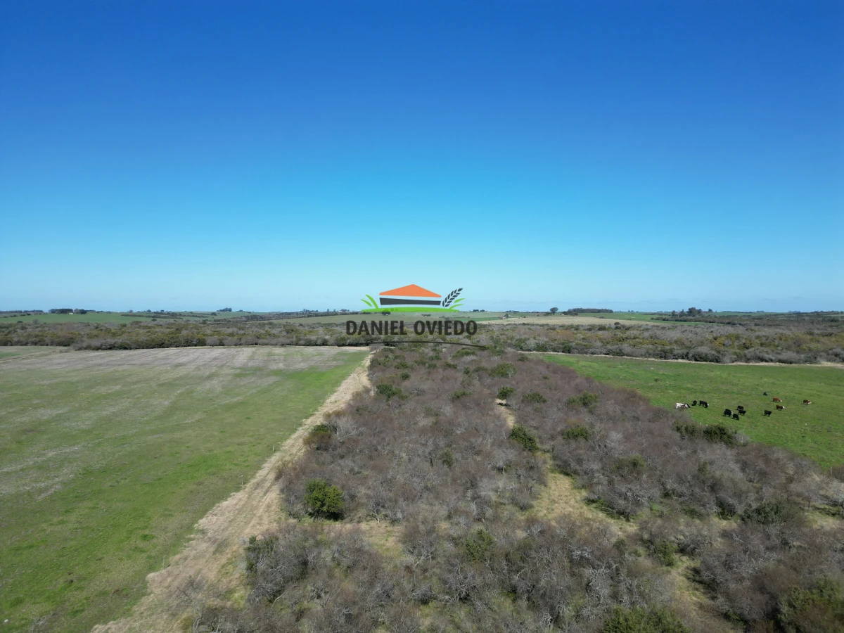 Campo Ref.243/Campo-agrícola-ganadero-en-venta-con-costa-de-arroyo. - Campo agrícola ganadero en venta con costa de arroyo.