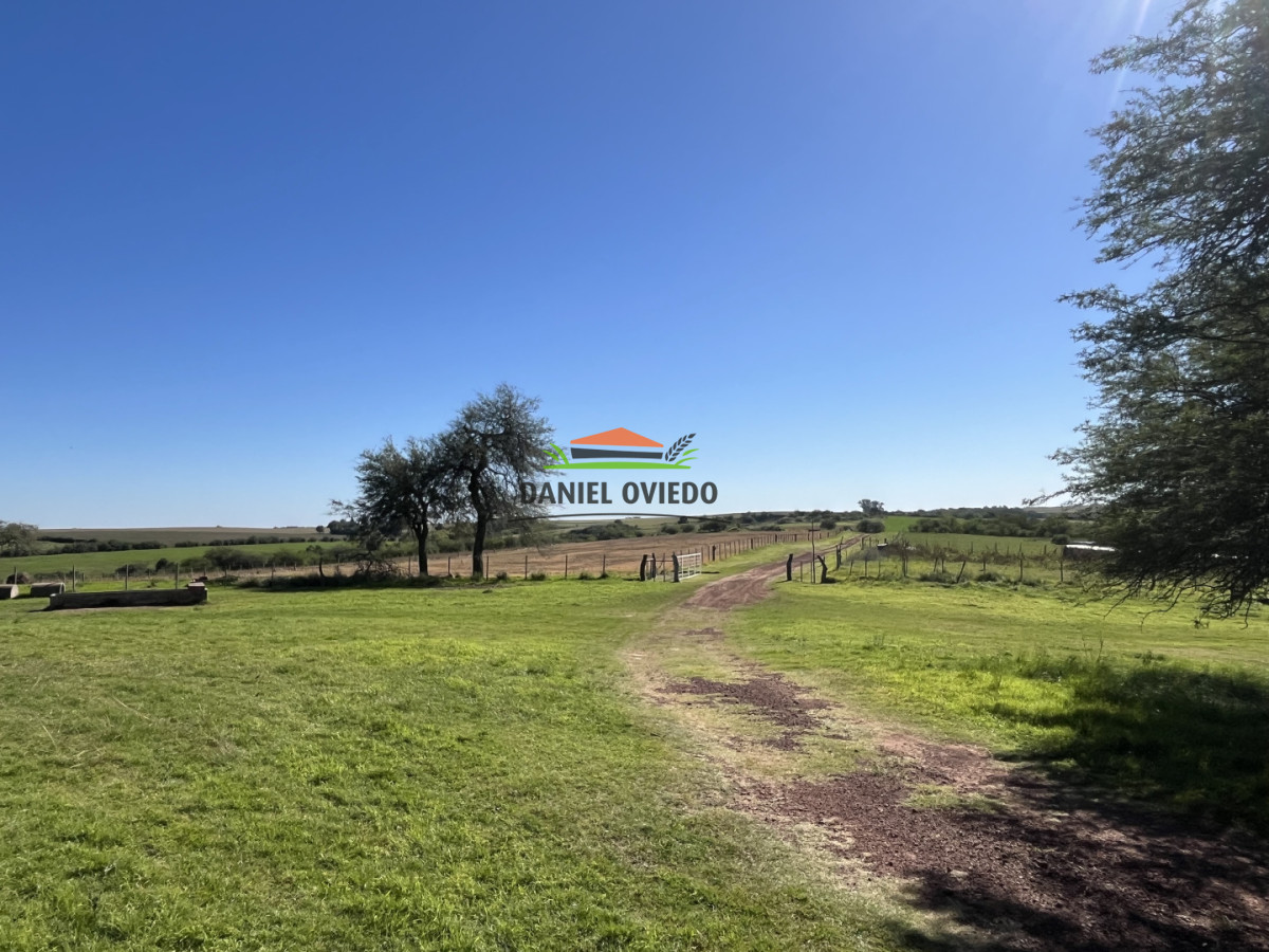 Campo Ref.381/Campo-agr - Campo agrícola en venta en zona de Víboras, Colonia.