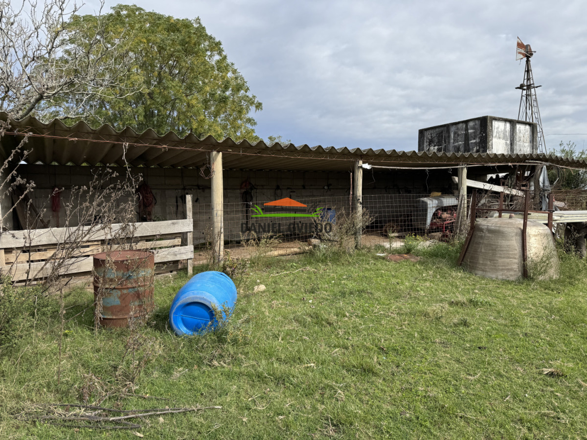 Campo Ref.377/Establecimiento-con-f - Establecimiento con fábrica y 33 Hás de campo - Instalaciones y equipamiento incluidos | Colonia