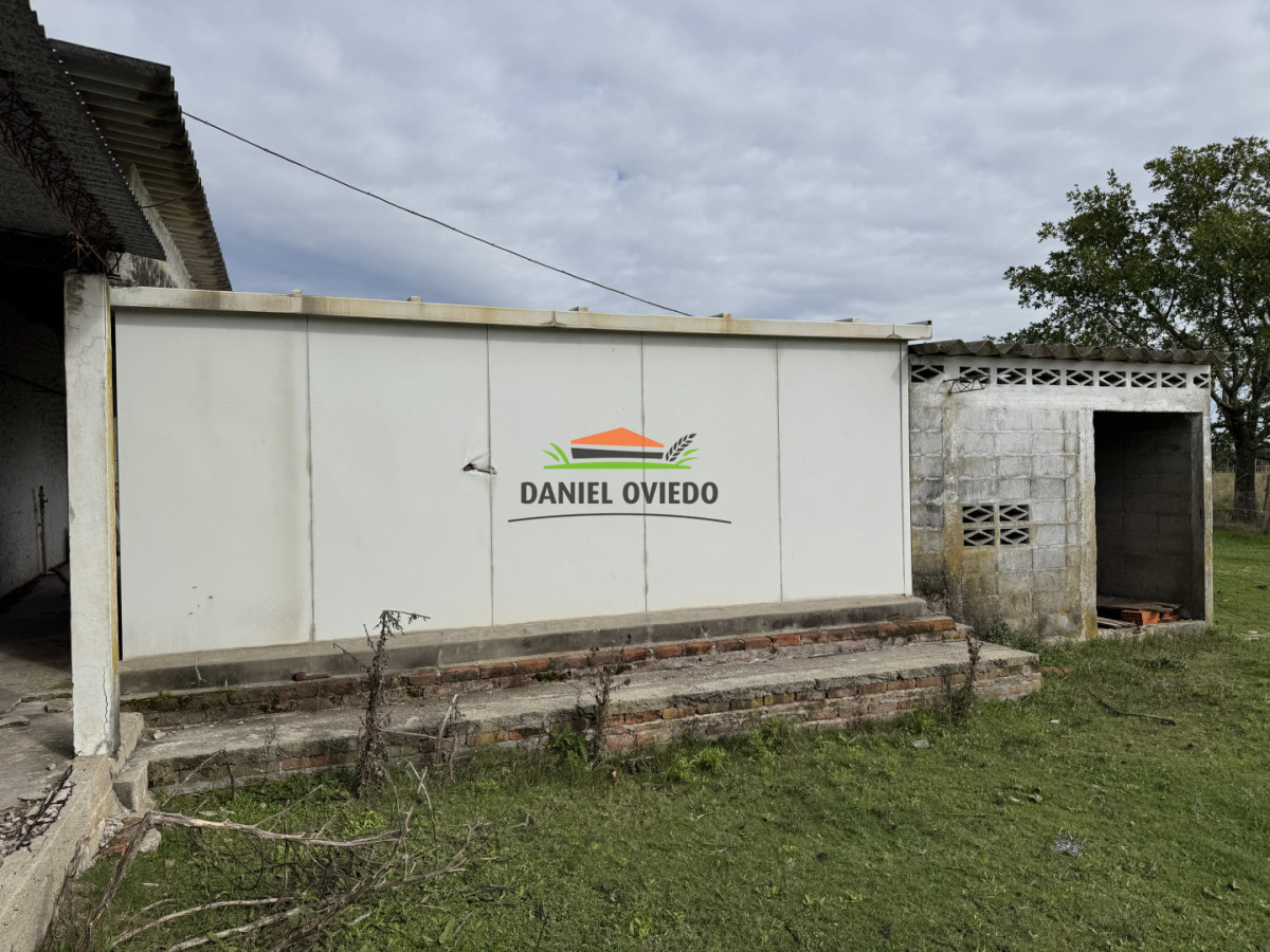 Campo Ref.377/Establecimiento-con-f - Establecimiento con fábrica y 33 Hás de campo - Instalaciones y equipamiento incluidos | Colonia