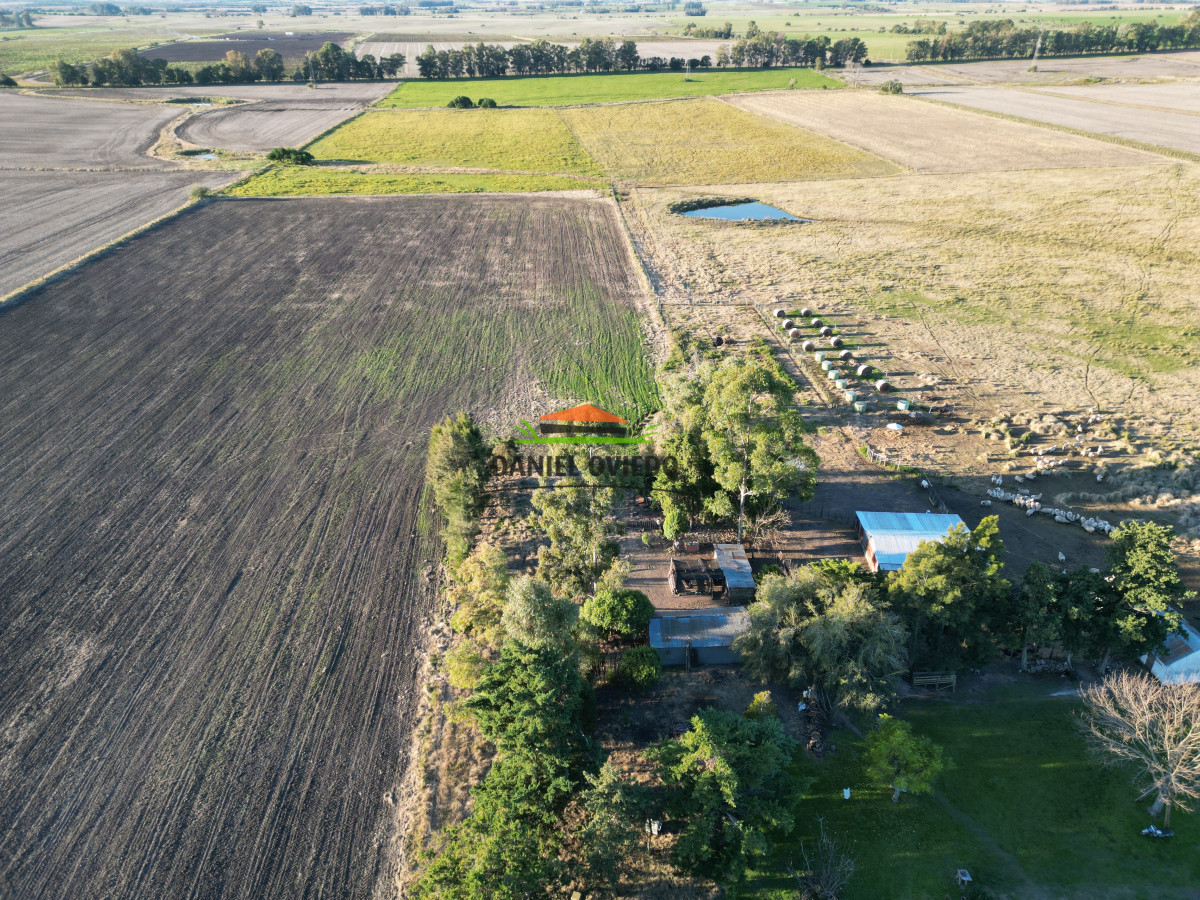 Campo Ref.209 - Excepcional ubicación en ruta 1 y campo productivo donde nadie vende.