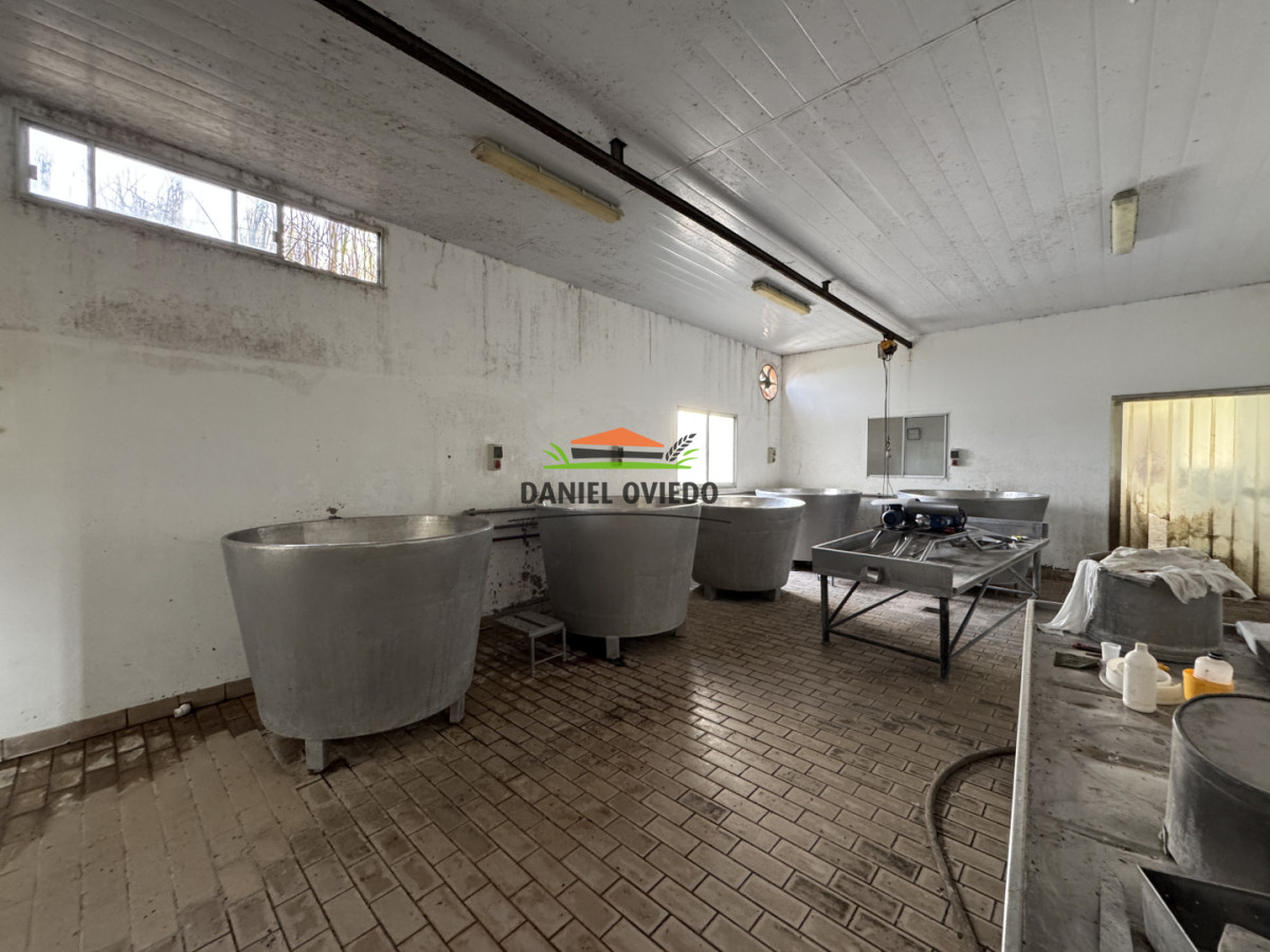 Campo Ref.377/Establecimiento-con-f - Establecimiento con fábrica y 33 Hás de campo - Instalaciones y equipamiento incluidos | Colonia