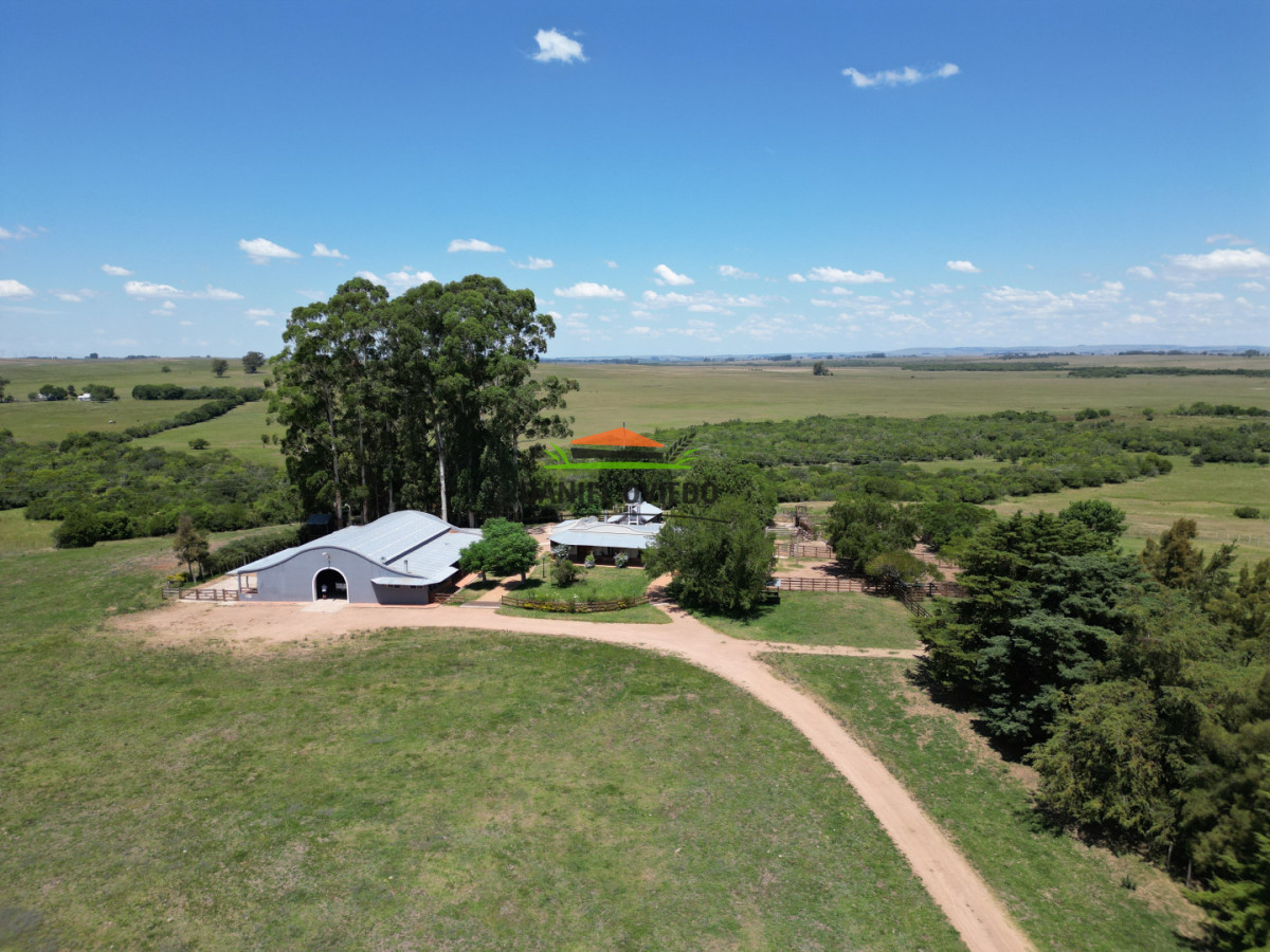 Campo Ref.357/Muy-buen-establecimiento-completo-en-venta-en-ruta-26-proximo-a-Melo. - Muy buen establecimiento completo en venta en ruta 26 proximo a Melo.