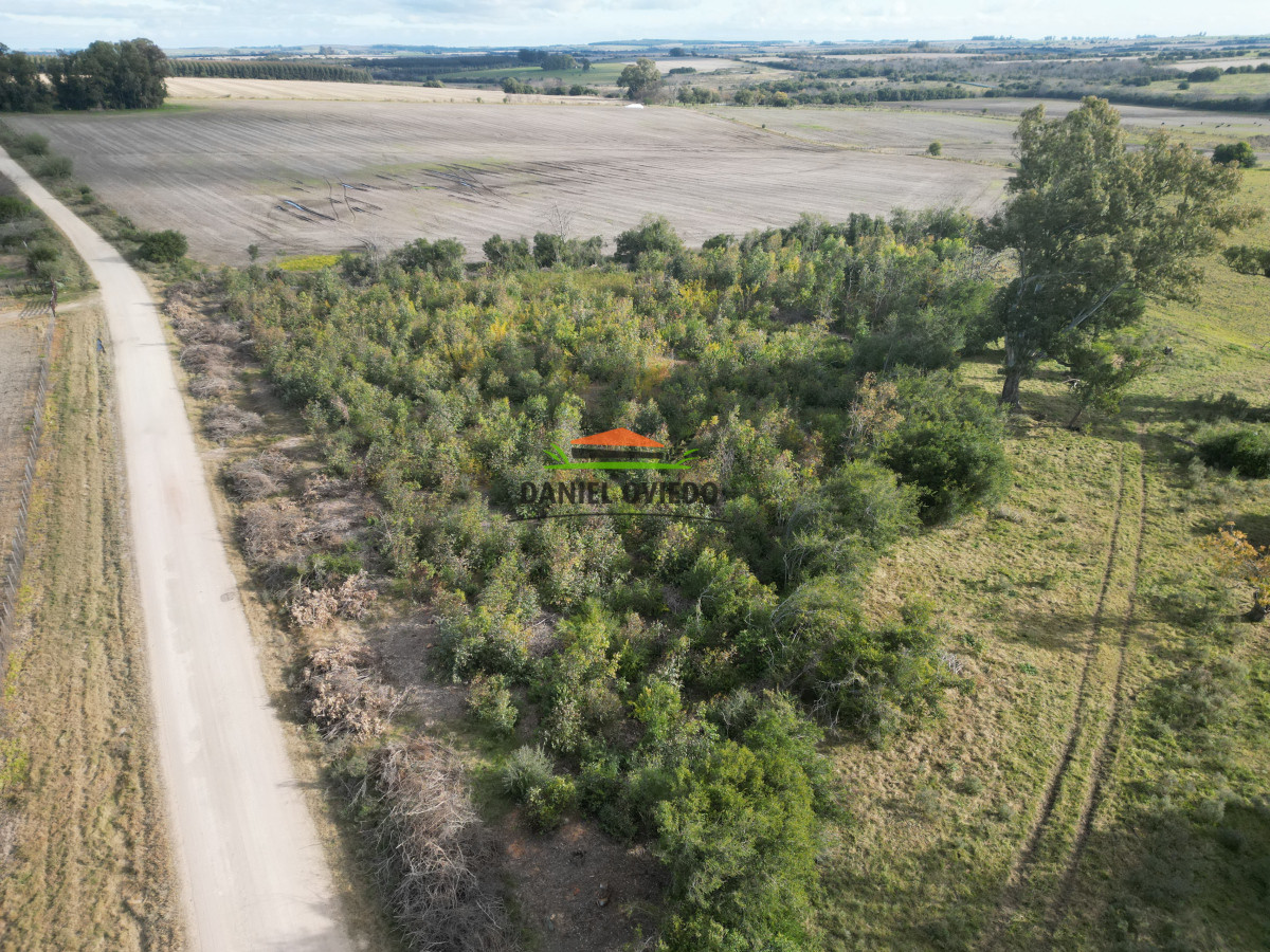 Campo Ref.208 - Campo agrícola ganadero de 20,95 has en Miguelete de Campana.