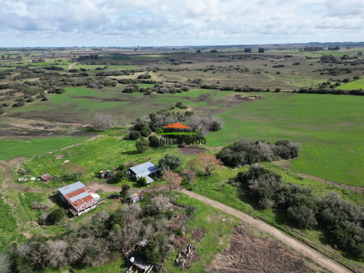 Campo Ref.249/Buen-campo-ganadero-en-venta-ideal-para-engorde. - Buen campo ganadero en venta ideal para engorde.