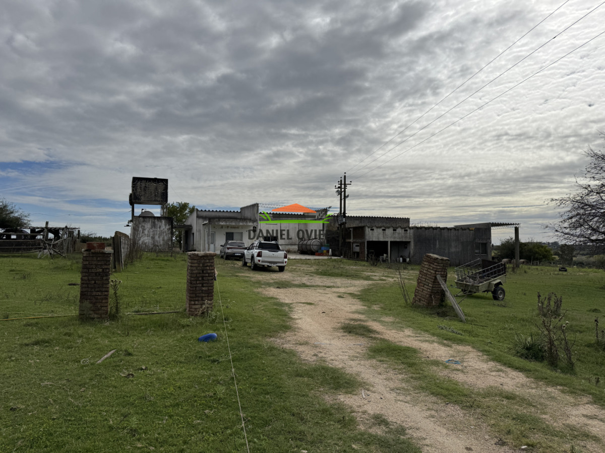 Campo Ref.377/Establecimiento-con-f - Establecimiento con fábrica y 33 Hás de campo - Instalaciones y equipamiento incluidos | Colonia